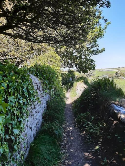 Corvus - Beautiful Cottage Half A Mile From Mousehole ペンザンス エクステリア 写真