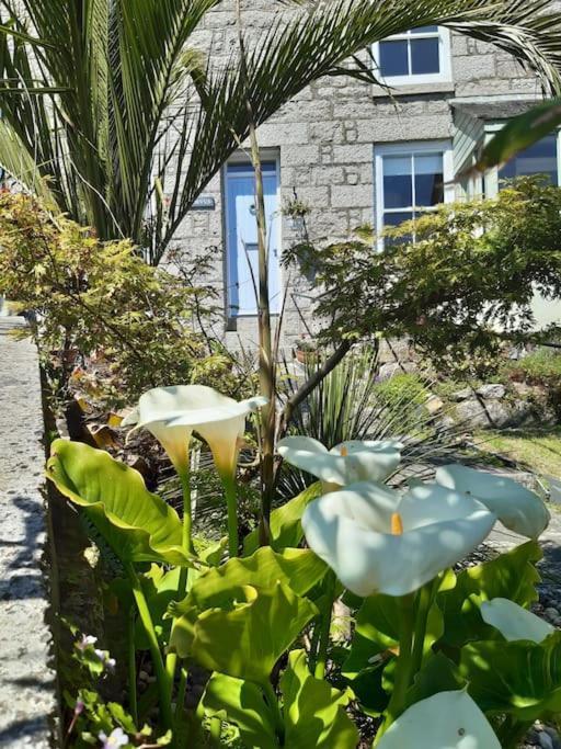 Corvus - Beautiful Cottage Half A Mile From Mousehole ペンザンス エクステリア 写真