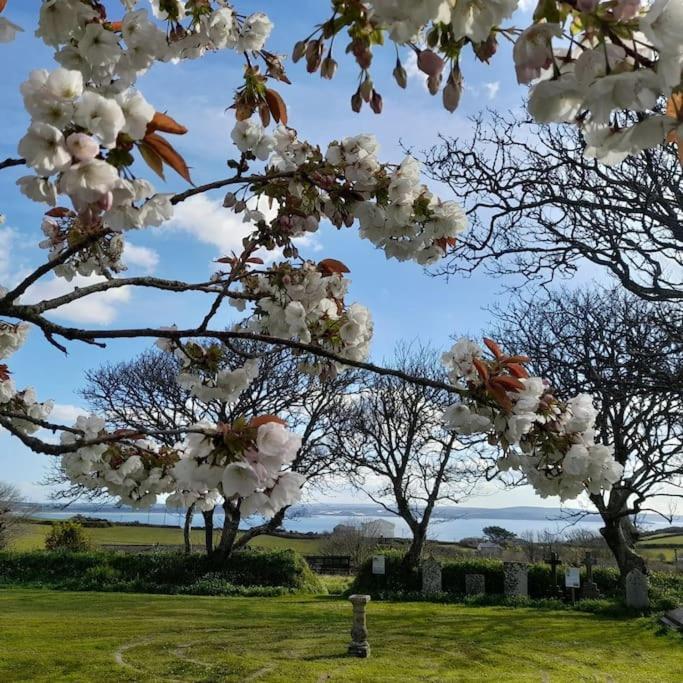 Corvus - Beautiful Cottage Half A Mile From Mousehole ペンザンス エクステリア 写真